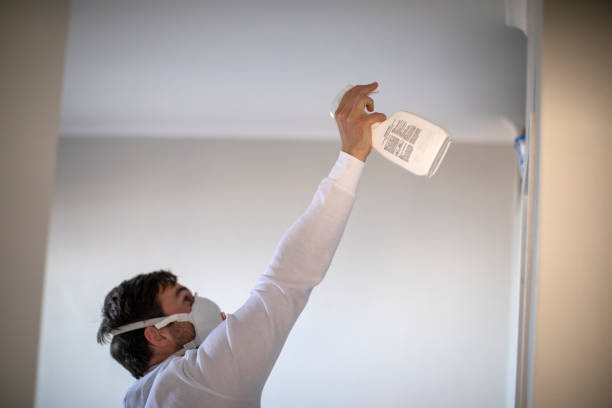 Best Crawl Space Mold Removal  in Woodruff, SC