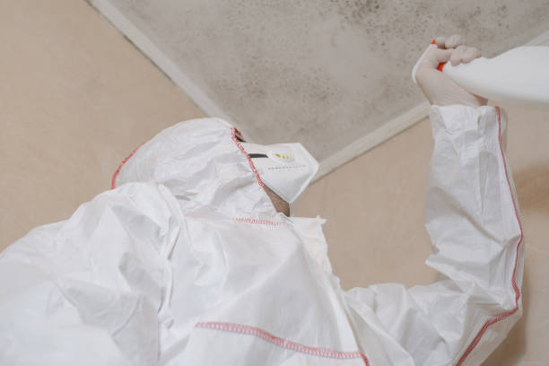 Best Fast Mold Removal  in Woodruff, SC